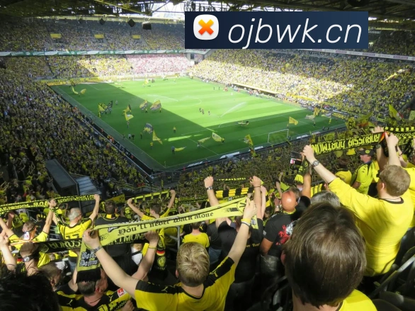 leyu乐鱼手机官网入口品牌故事