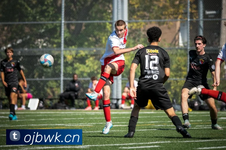 leyu乐鱼手机官网入口服务体系